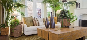 30 Ide Membuat Desain Interior Rumah Biophilic Style Yang Keren